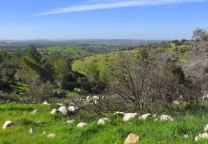 פארק בריטניה: מסלול הבורות והבארות